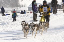 Lenk 2012 SM